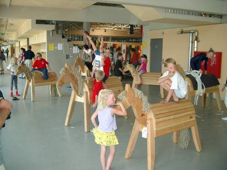 Holzponyherde in der Ostbayernhalle, DJM 2002 in Kreuth