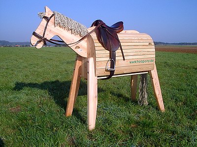 Holzpony plus: Mchten Sie als Nchster aufsitzen?