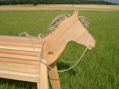 Pony mit Zgel und Seilgriff.